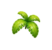 Palm leaves